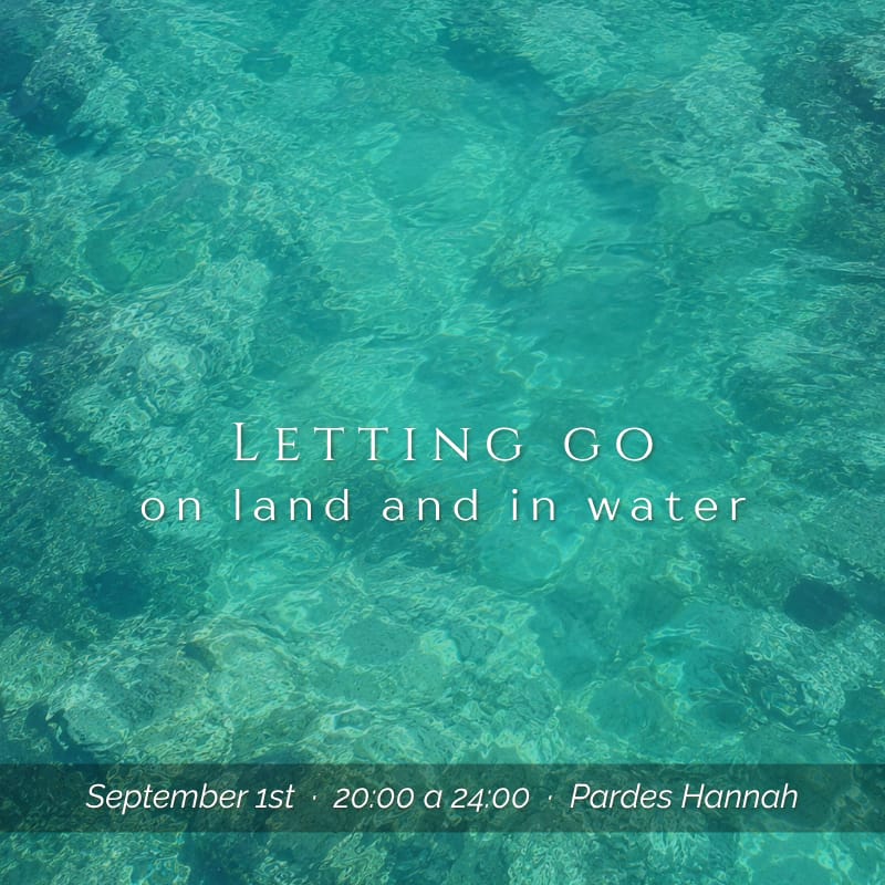 Letting Go on Land and in Water poster